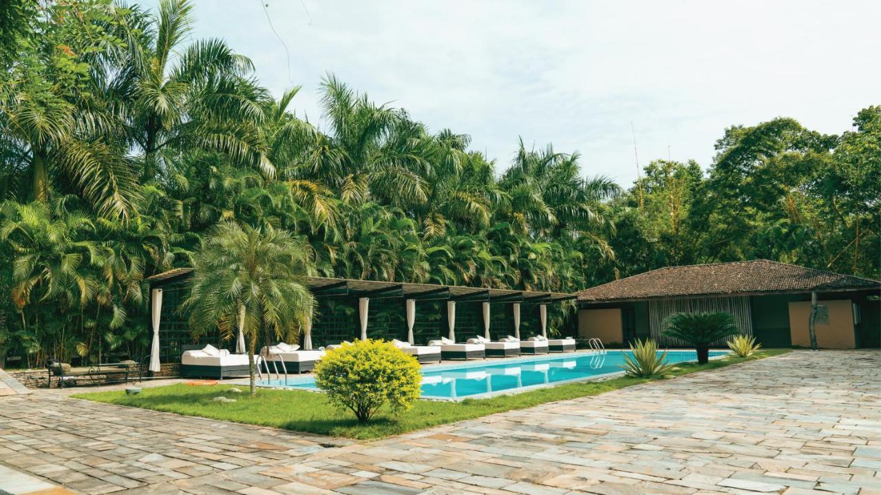 Отель Kasara Chitwan Patlahara Экстерьер фото
