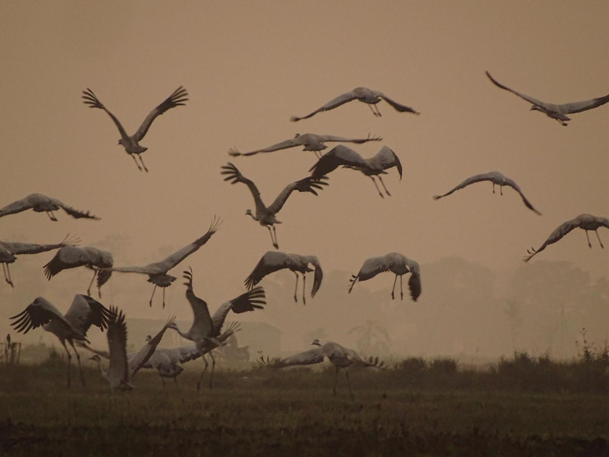 Отель Kasara Chitwan Patlahara Экстерьер фото
